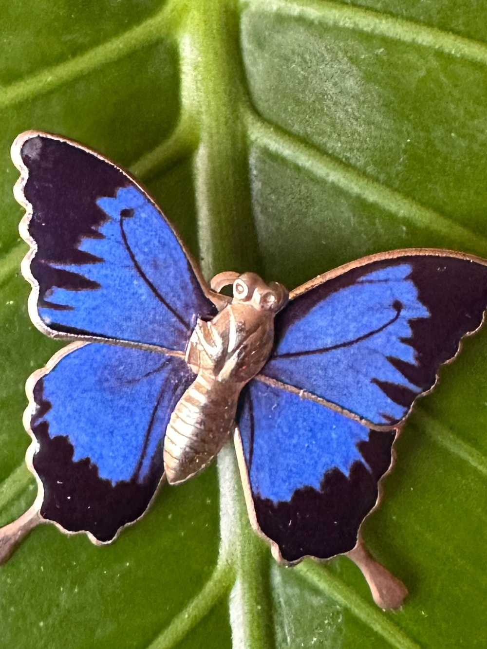 Blue & Black Butterfly Enamel Pin